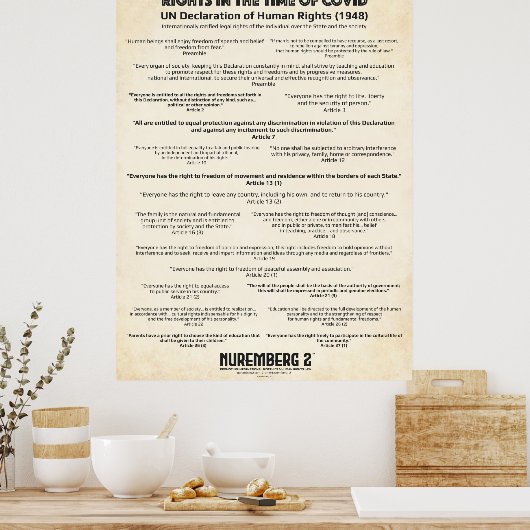 Verklaring van de VN over de mensenrechten 1948 - Poster (Keuken)