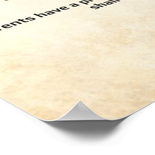 Verklaring van de VN over de mensenrechten 1948 -  Poster (Hoek)