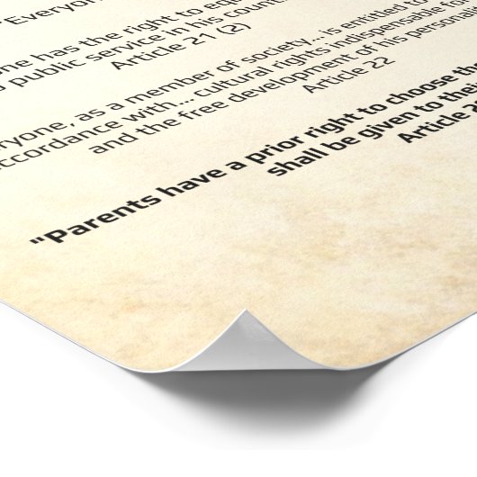 Verklaring van de VN over de mensenrechten 1948 -  Poster (Hoek)