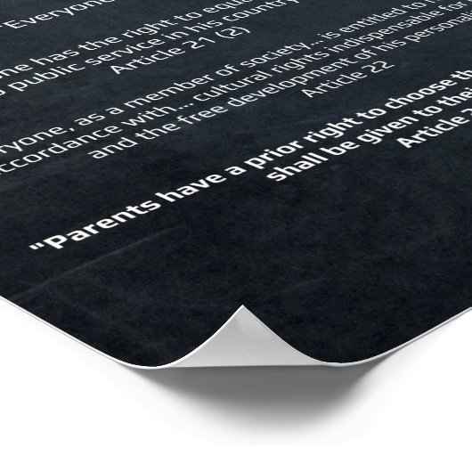 Verklaring van de VN over de mensenrechten 1948 -  Poster (Hoek)