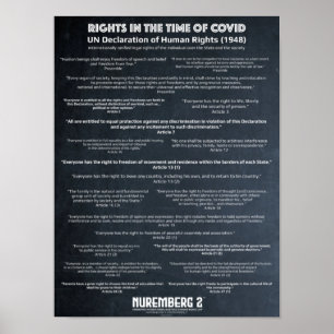 Verklaring van de VN over de mensenrechten 1948 X Poster