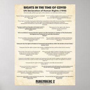 Verklaring van de VN over de mensenrechten in het Poster