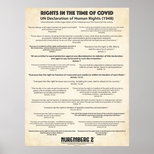 Verklaring van de VN over de mensenrechten in het Poster (Voorkant)