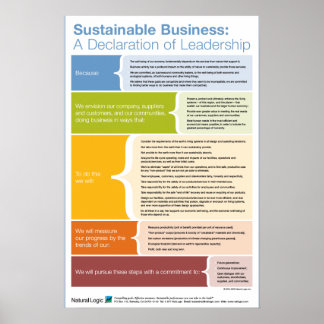 Verklaring van leiderschap poster