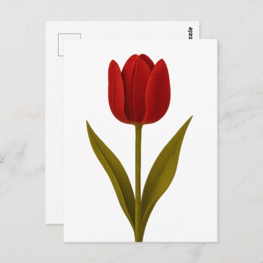 Verklaring van liefde briefkaart (Voorkant / Achterkant)