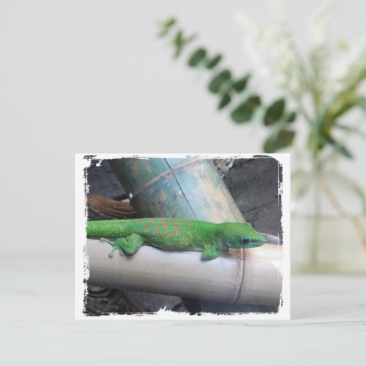 Verklaringen van Madagaskar Giant Day Gecko Aankondiging (Staand voorkant)