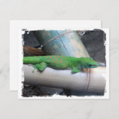 Verklaringen van Madagaskar Giant Day Gecko Aankondiging (Voorkant / Achterkant)