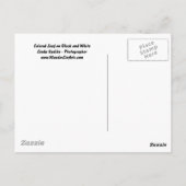 Verkleurd leder op zwart-wit Briefkaart (Achterkant)