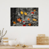 Verkleurde bladeren in een Poster van de Zwarte en (Keuken)