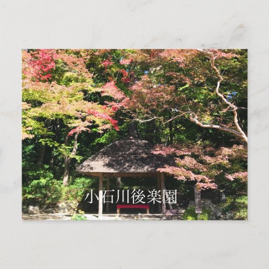 Verkleurde mannetjes- en rusthuisjes briefkaart (Voorkant)