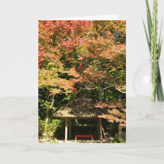 Verkleurde mannetjes- en rusthuisjes kaart (Voorkant)