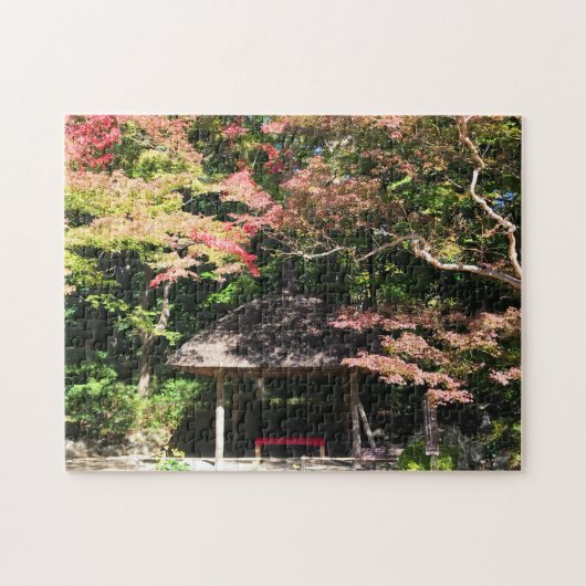 Verkleurde mannetjes- en rusthuisjes legpuzzel (Horizontaal)