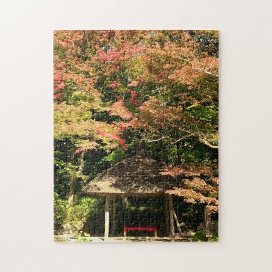 Verkleurde mannetjes- en rusthuisjes legpuzzel (Verticaal)