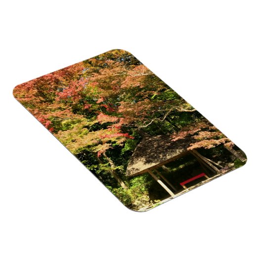 Verkleurde mannetjes- en rusthuisjes magneet (Rechterzijde)