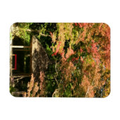 Verkleurde mannetjes- en rusthuisjes magneet (Horizontaal)