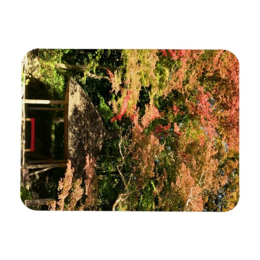 Verkleurde mannetjes- en rusthuisjes magneet (Horizontaal)