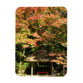 Verkleurde mannetjes- en rusthuisjes magneet