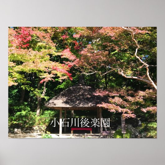 Verkleurde mannetjes- en rusthuisjes poster (Voorkant)