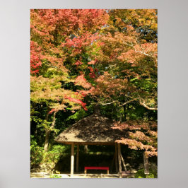 Verkleurde mannetjes- en rusthuisjes poster