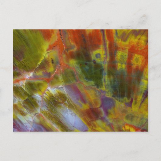 Verkleurste versteende hout briefkaart (Voorkant)