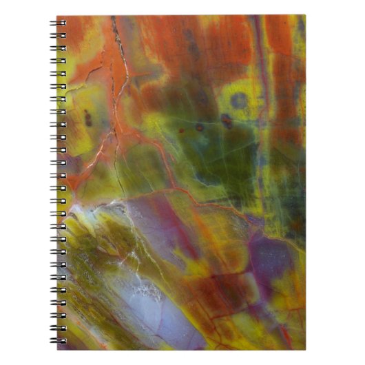 Verkleurste versteende hout notitieboek (Voorkant)