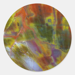 Verkleurste versteende hout ronde sticker