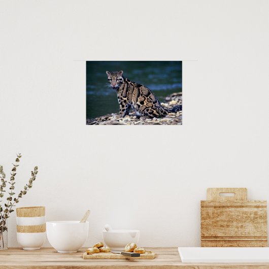 Verklonken oogcontact poster (Keuken)