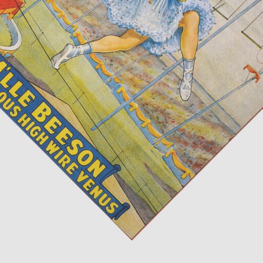Verkoop Floto Circus Tissuepapier (Detail)