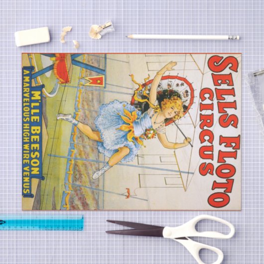 Verkoop Floto Circus Tissuepapier (Craft)