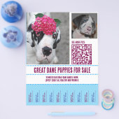 Verkoop Flyer (Enkel)