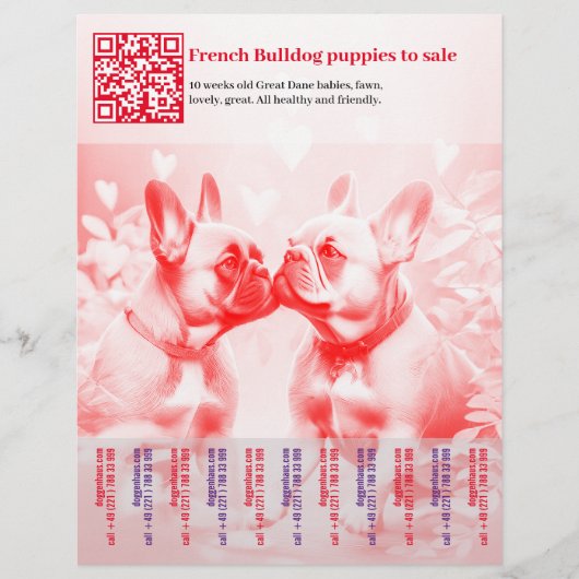 Verkoop Flyer Franse Puppy's (Voorkant)