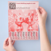 Verkoop flyer met Franse puppy's ontwerp (Hand)