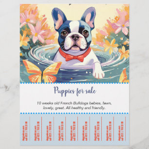 Verkoop Puppy Flyer