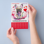 Verkoop Puppy Franse Bulldog Flyer (Hand)