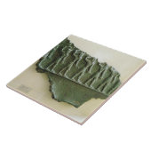 Verkoop van Elamite-strijders, Susa, Iran, Elamit Tegeltje (Zijkant)