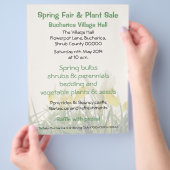 Verkoop van Iris bucharica-plant of fair Flyer (Hand)