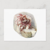  verkoop van mevrouw Tiggy Winkle Laundry Day Briefkaart (Voorkant)