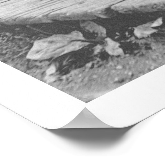 Verkopen van bessen in Alaska 1905 Poster (Hoek)