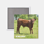 Verkopers kuitmagneet magneet (Voorkant / Achterkant)