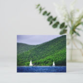 Verkoping op de Amerikaanse Maagdeneilanden Briefkaart (Staand voorkant)