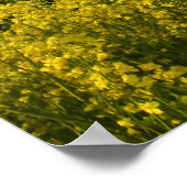 Verkrachte velden omcirkelen het bos - gepersonali poster (Hoek)