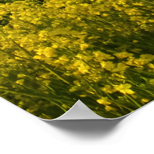 Verkrachte velden omcirkelen het bos - gepersonali poster (Hoek)