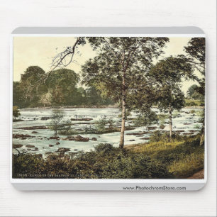 Verkrachtingen op de Shannon. Co. Limerick, Irelan Muismat