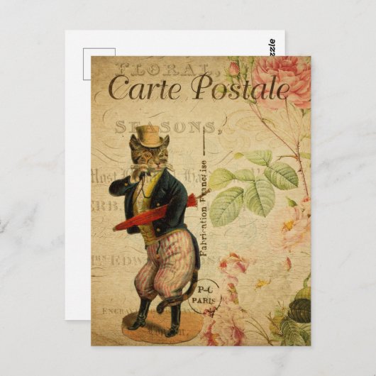  verkreukte kstofkat met Pet en paraplu Briefkaart (Voorkant / Achterkant)