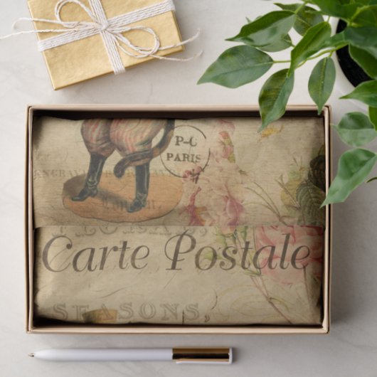  verkreukte kstofkat met Pet en paraplu Tissuepapier (Geschenk)