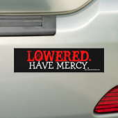 VERLAAGD. BUMPERSTICKER (Op auto)