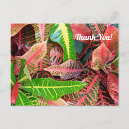 Verlaat 3253 Bedankkaart Briefkaart