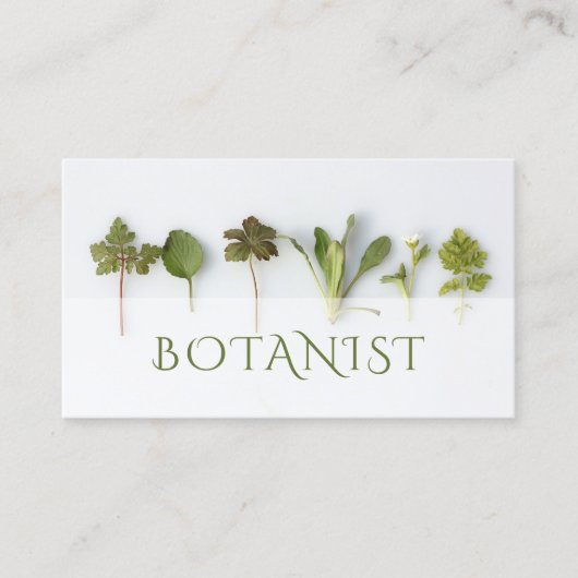 Verlaat Botanistisch Visitekaartje (Voorkant)