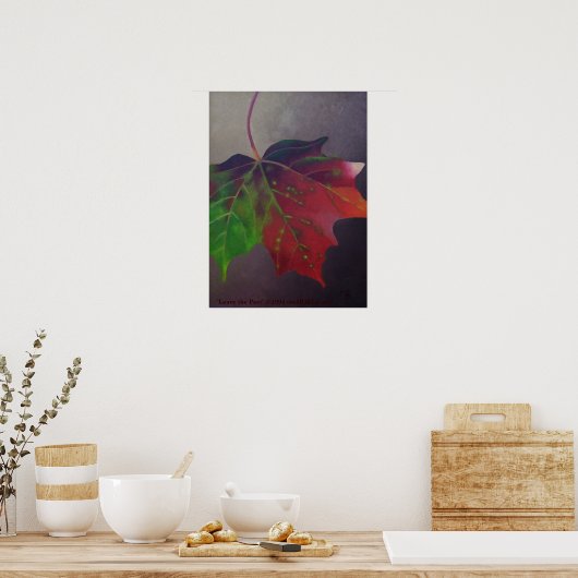 Verlaat het Afgelopen Poster (Keuken)