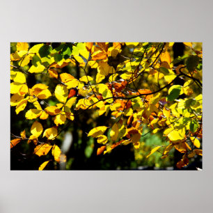 Verlaat in de Herfst Poster